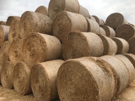Montones de rollos de heno apilados en un campo.