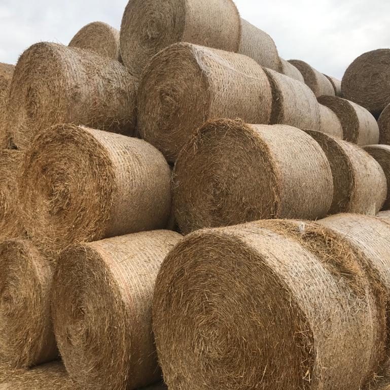 Montones de pacas de heno apiladas en un campo.